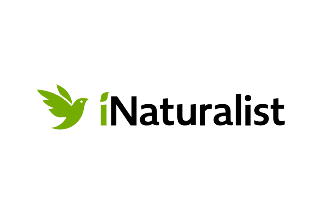 iNaturalist 