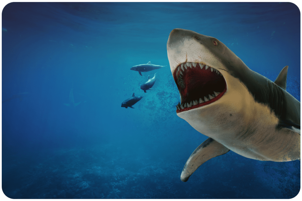 Największy rekin w historii próbuje zjeść delfiny