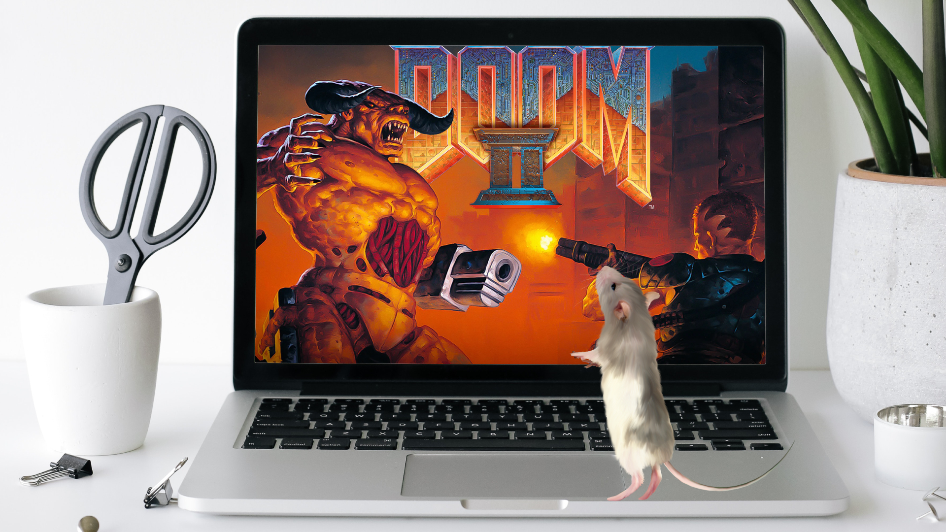 DOOM - badania na szczurach