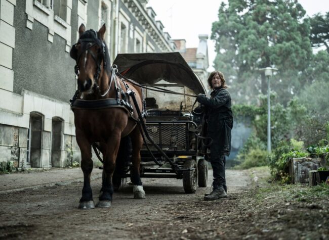 daryl dixon