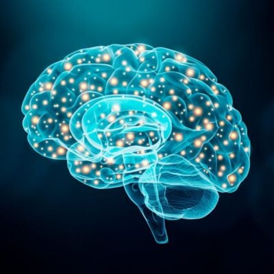 Ile procent mózgu używa człowiek? Grafika przedstawiająca ludzki mózg